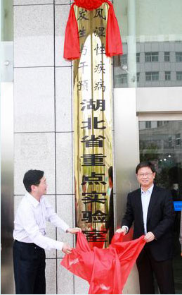 是欧冠中文官网新手怎么玩风湿免疫研究