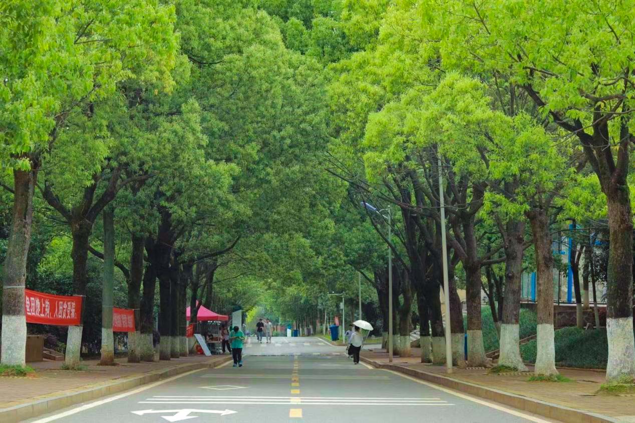 若从搜索引擎进入